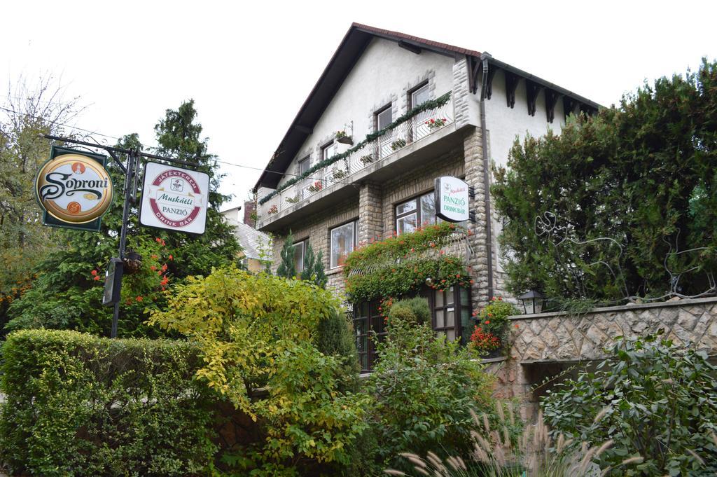 Muskatli Panzio Bed & Breakfast Yanıkkale Dış mekan fotoğraf